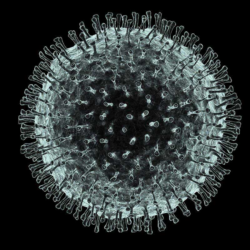 8 حقیقت جالب پیرامون ویروس کرونا که بایستی بدانید